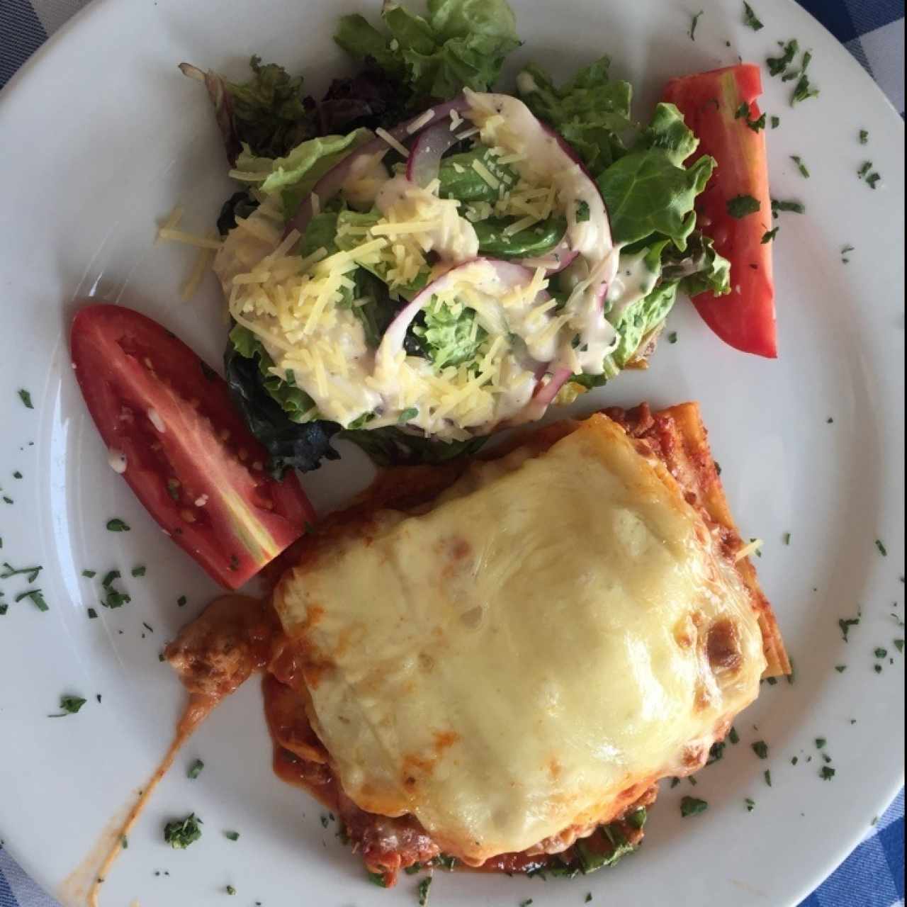 LASAGNA - LASAGNA ALLA BOLOGNESE