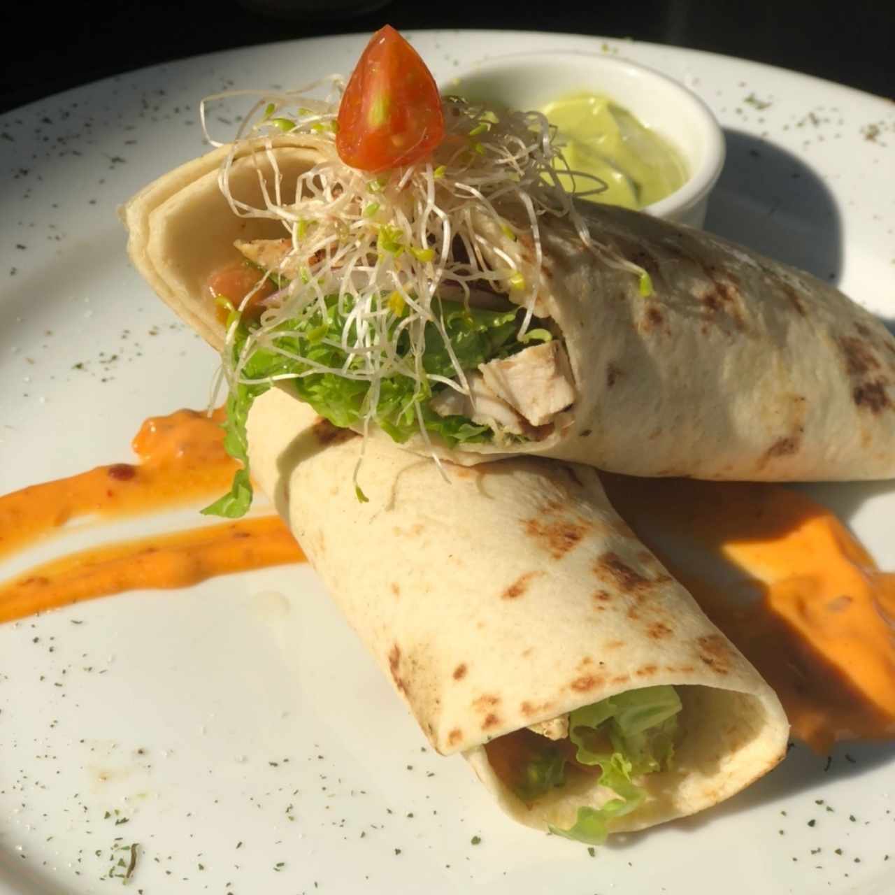 Otros - Healthy Wrap