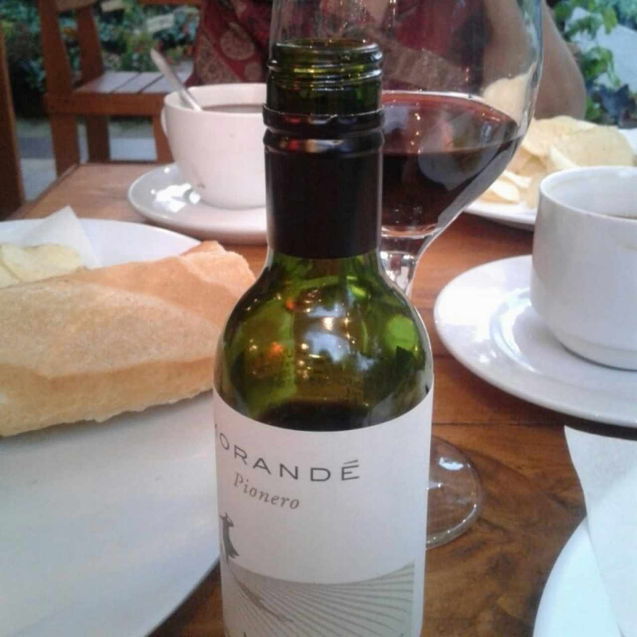 vino Merlot