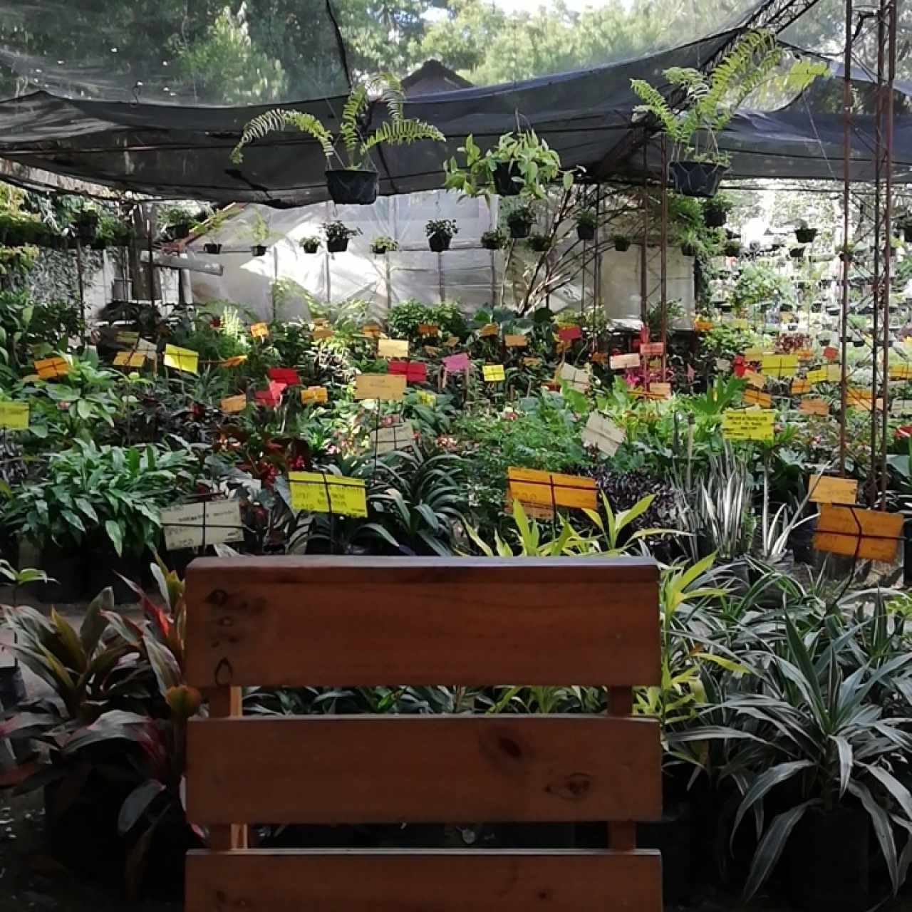 vivero