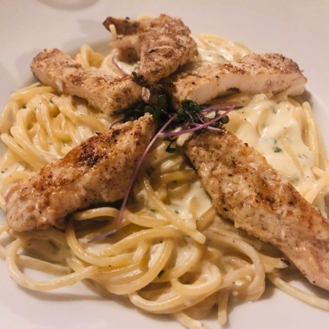 Pasta Alfredo con pollo