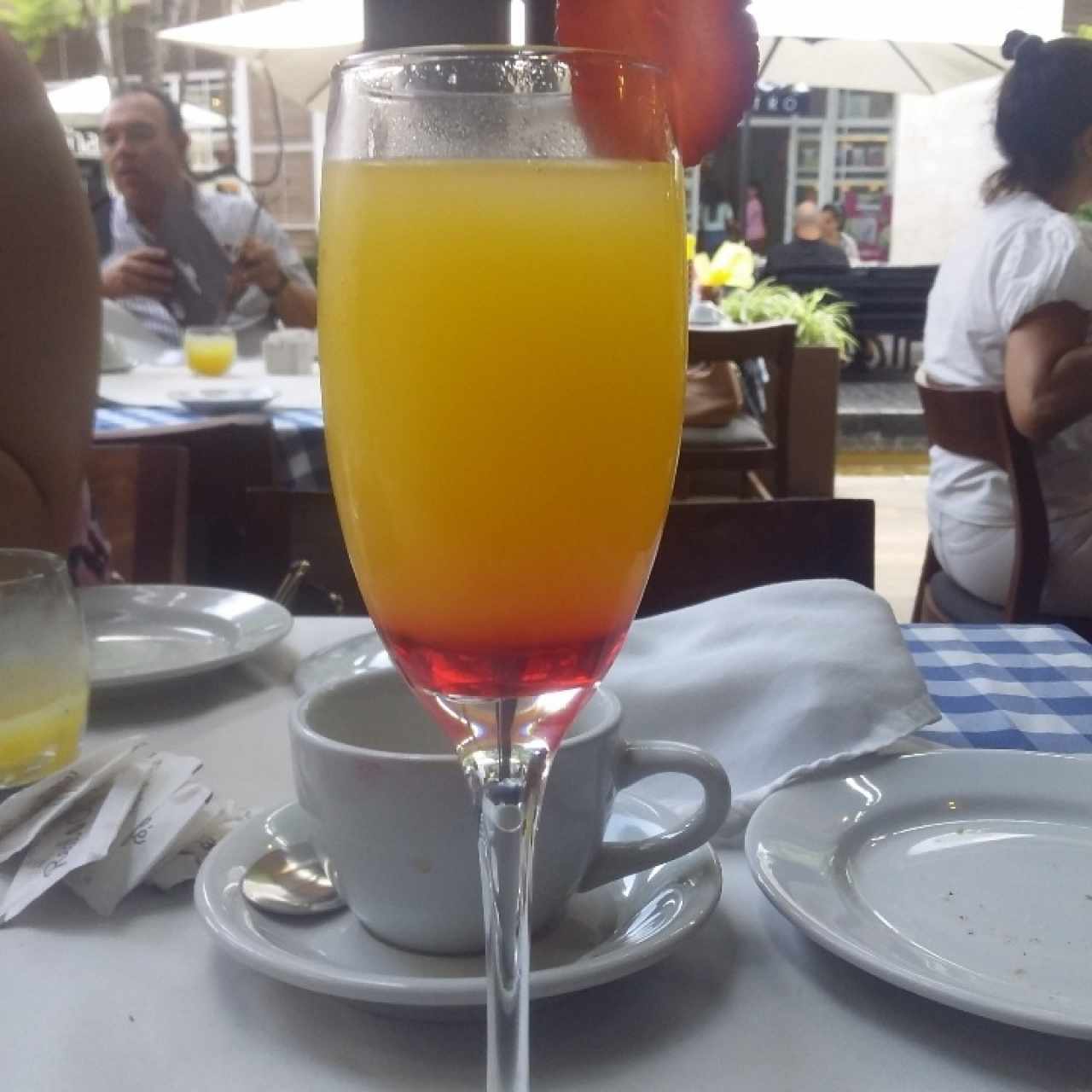 Mimosa de temporada.