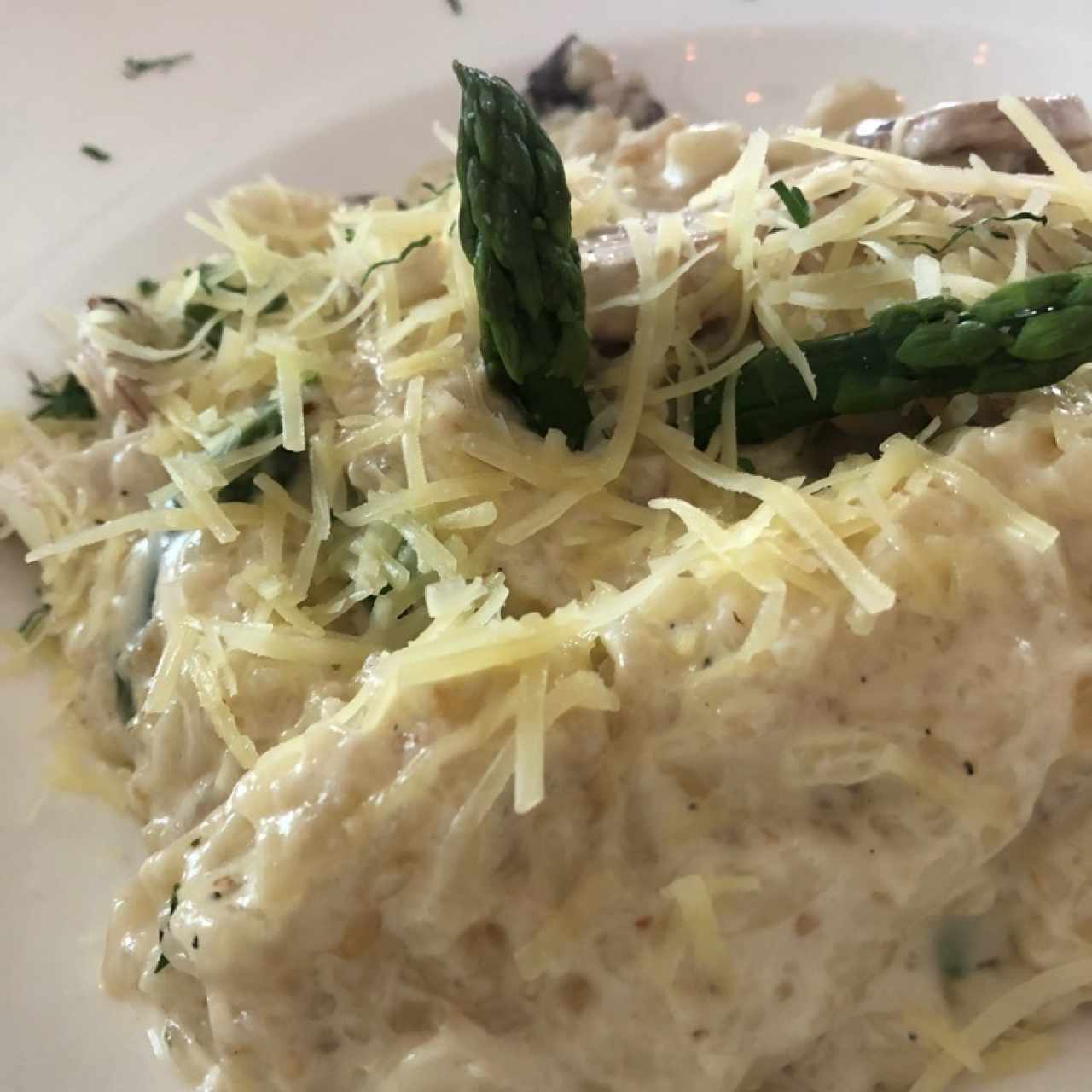 Pastas - Rissotto