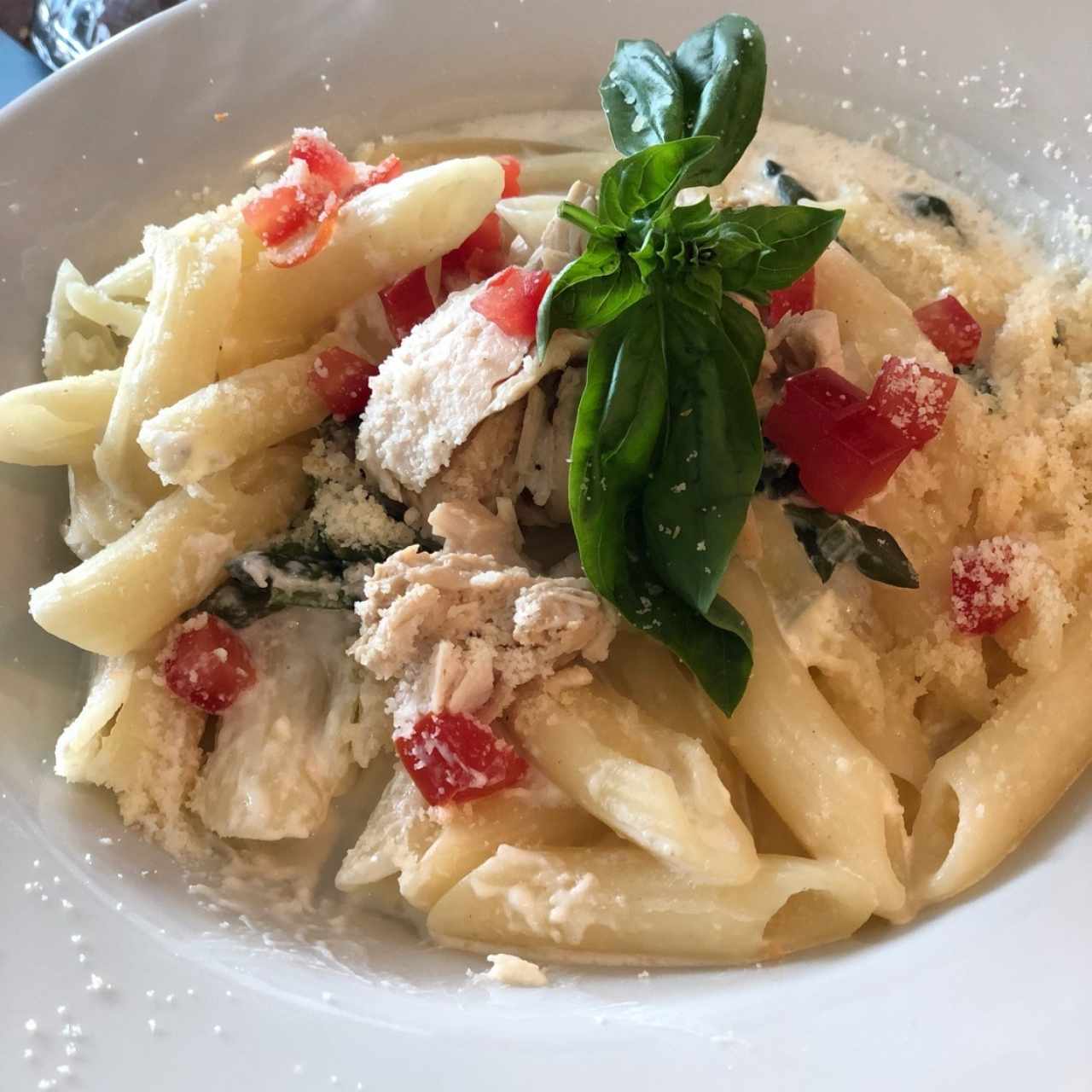 Pasta de Pollo y Loroco