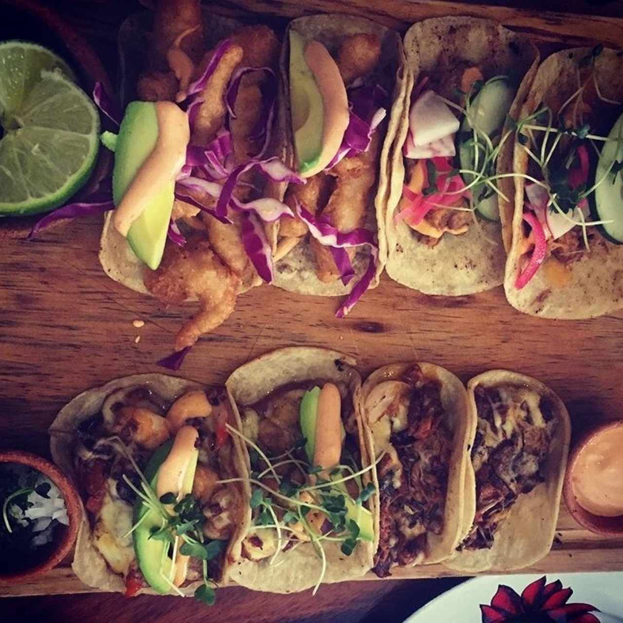 Tacon Fridas