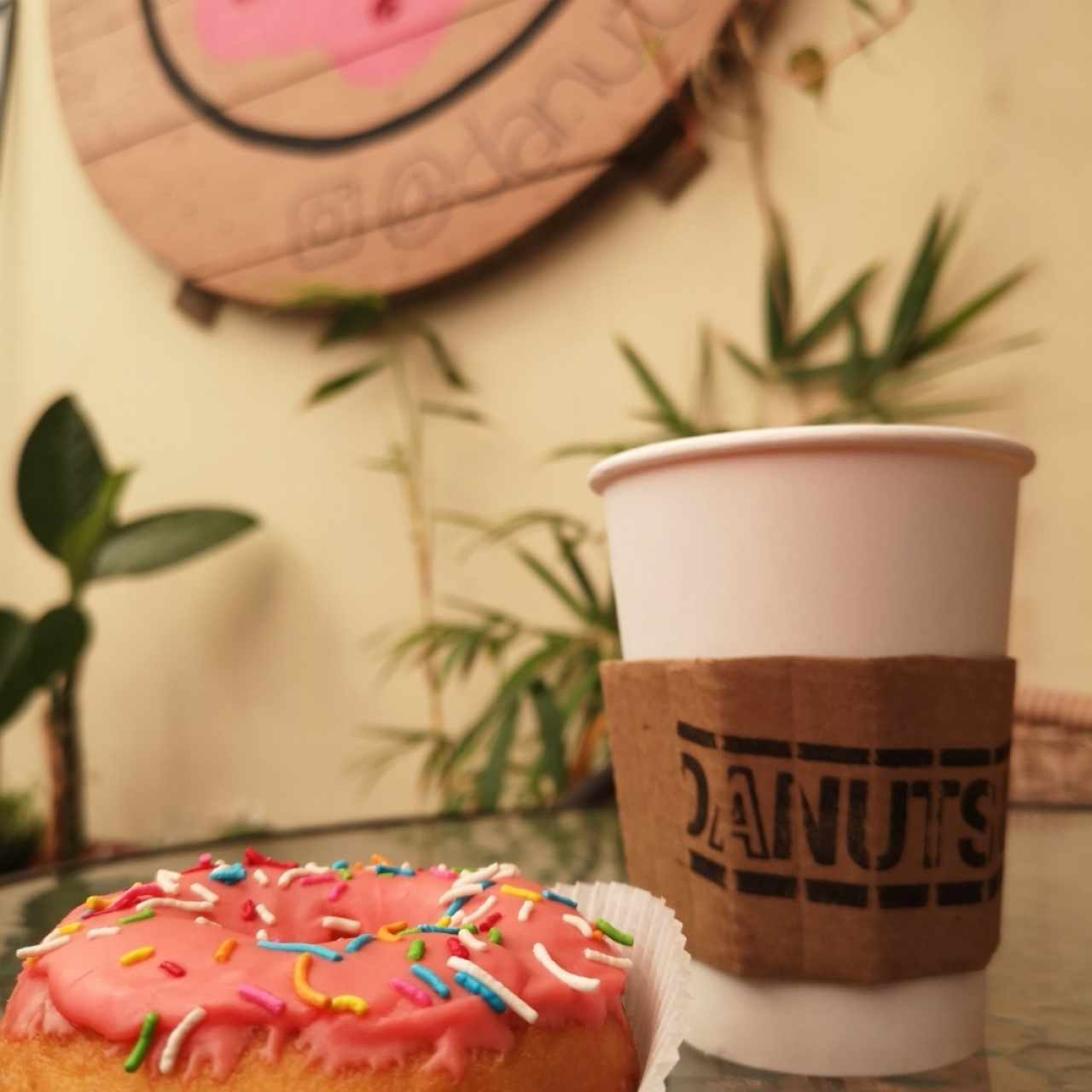 DANUTS