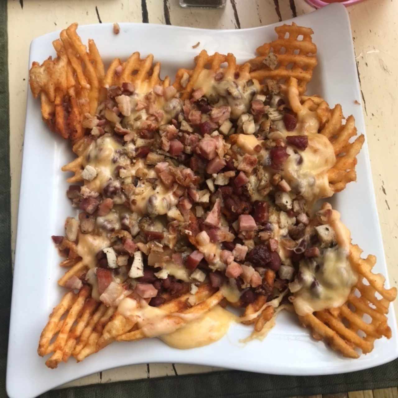 papas boreal