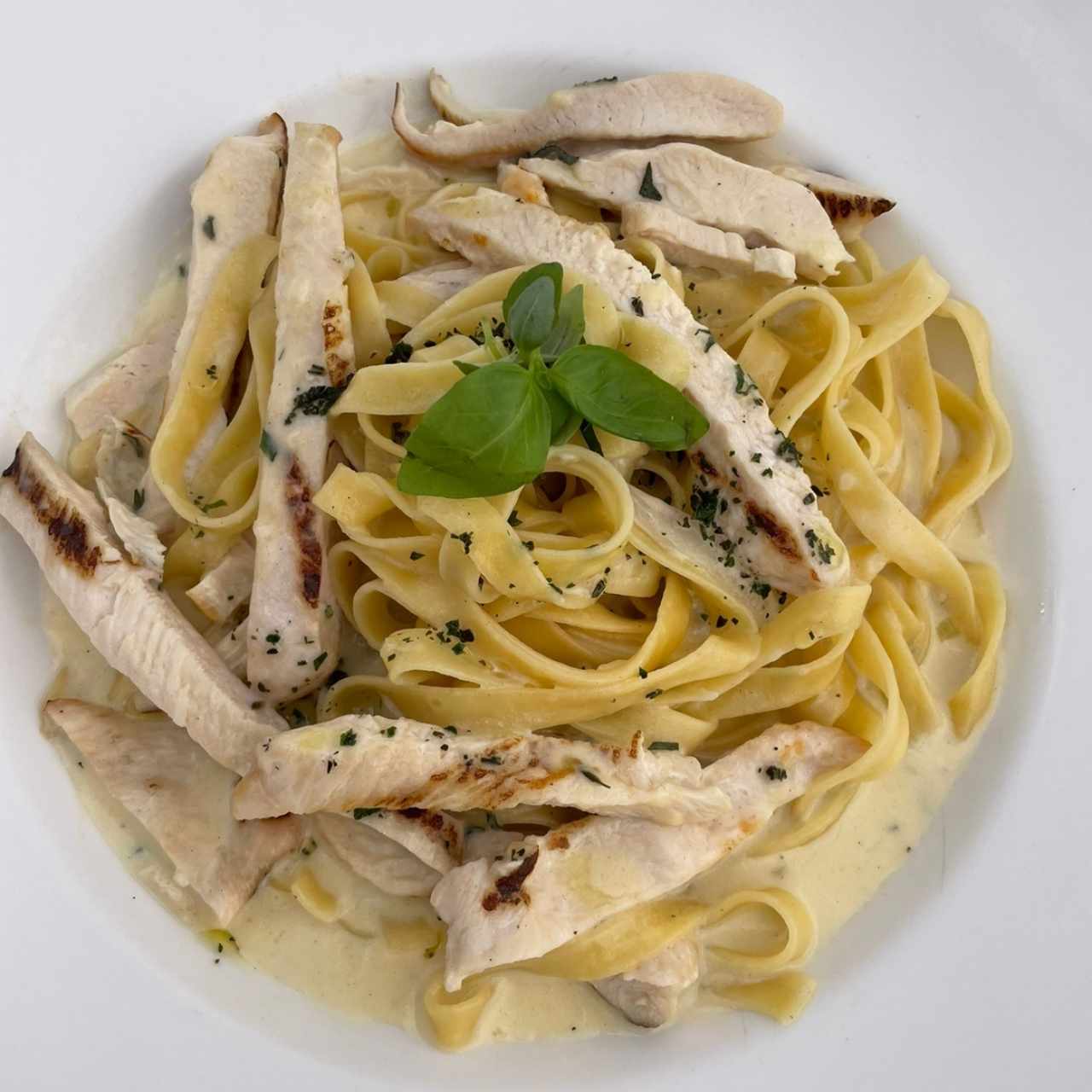 Fetuchini Alfredo con pollo 