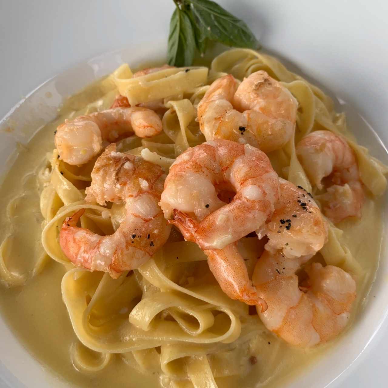 Fetuccini Alfredo con camarones