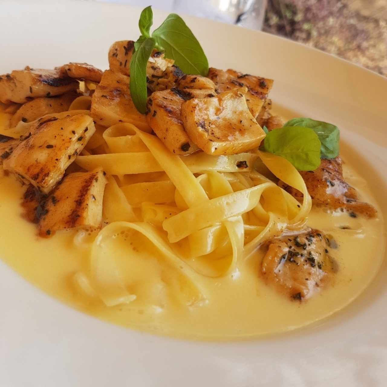 Fetuccinni Alfredo Cajún con pollo