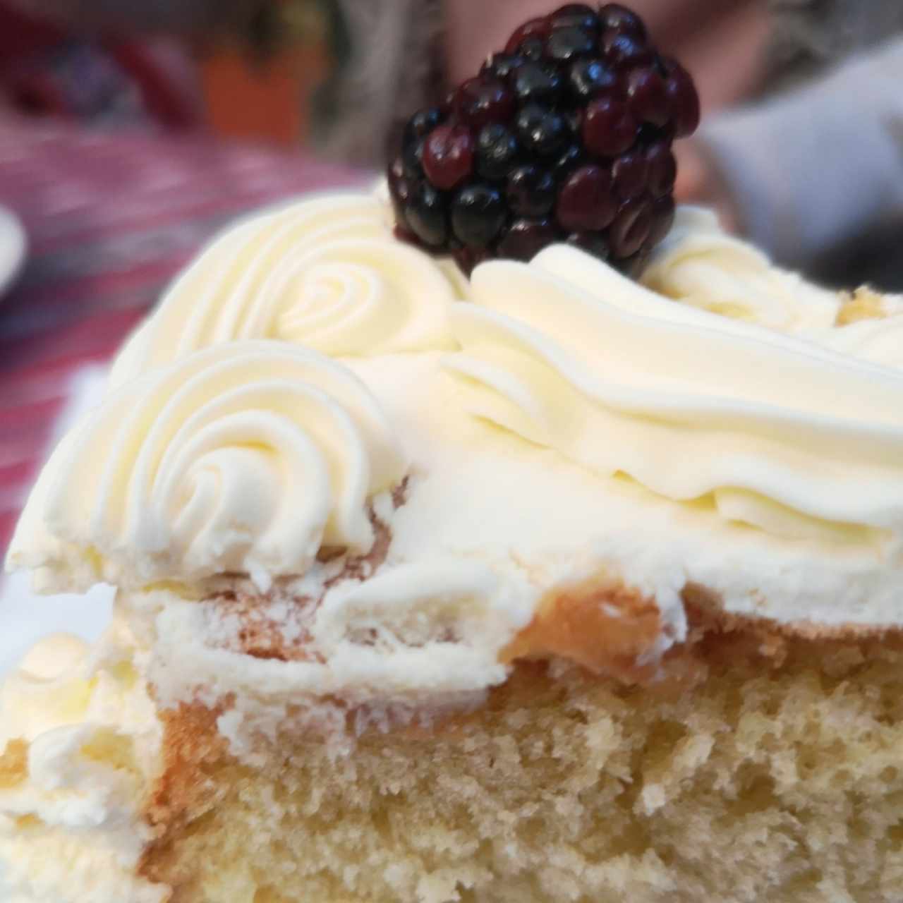 pastel de mora