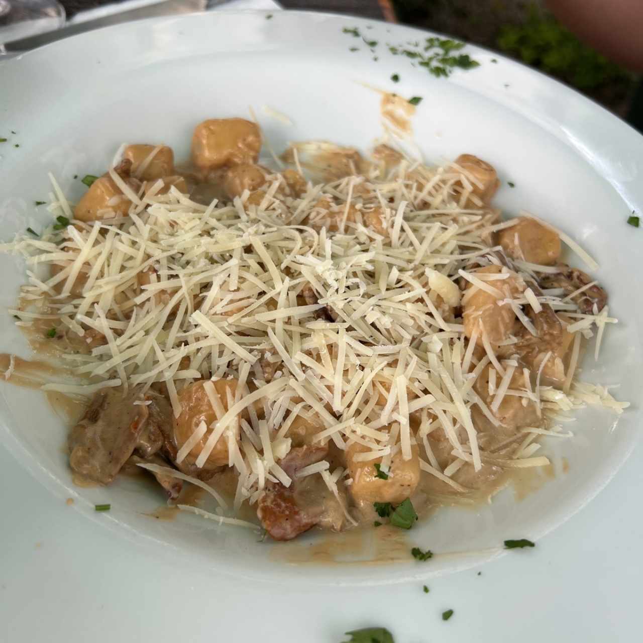 Gnocchi - Gnocchi Porcino