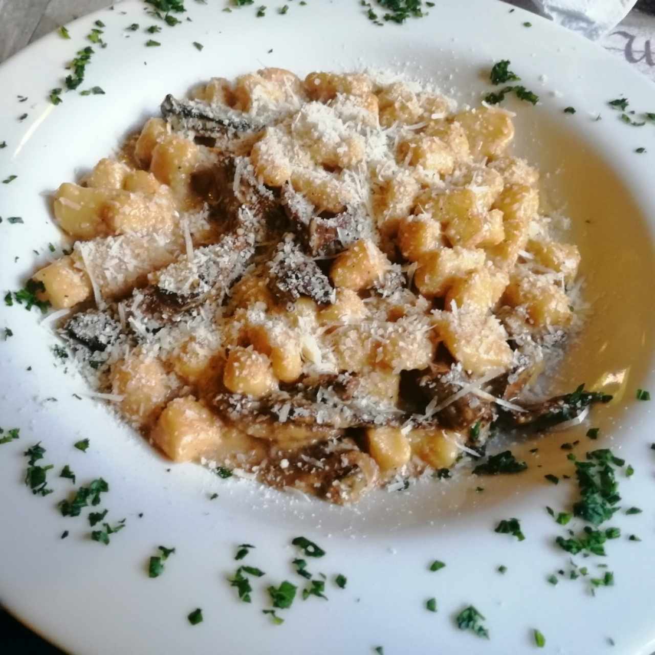Gnocchi - Gnocchi Porcino