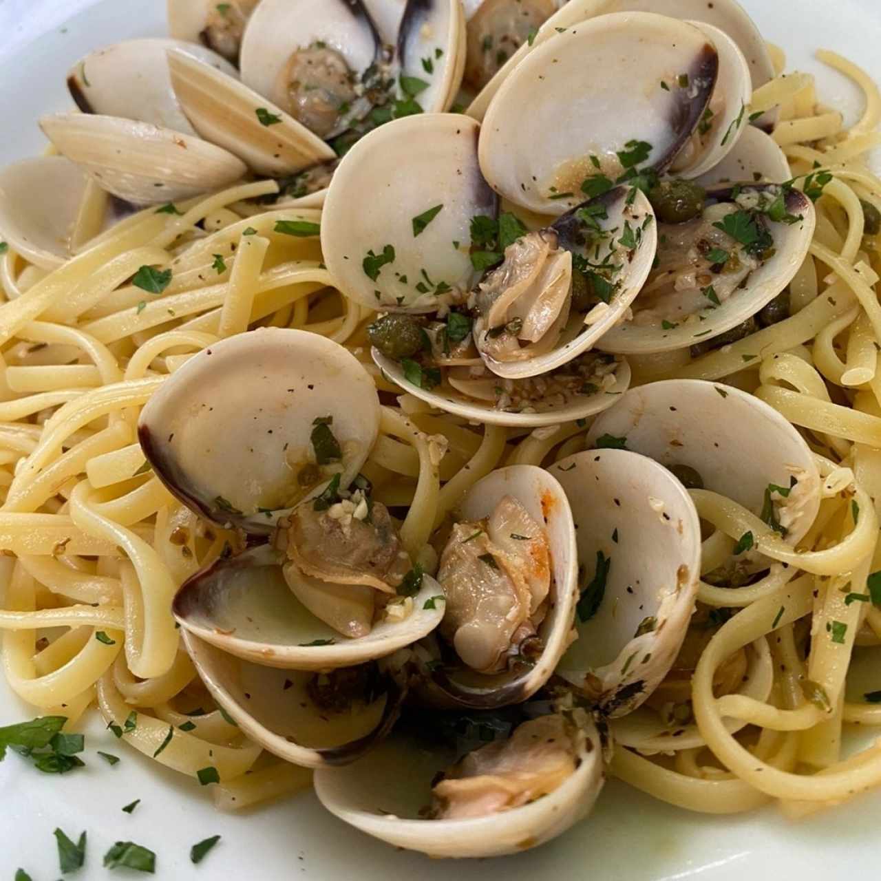 Mariscos - Vongole
