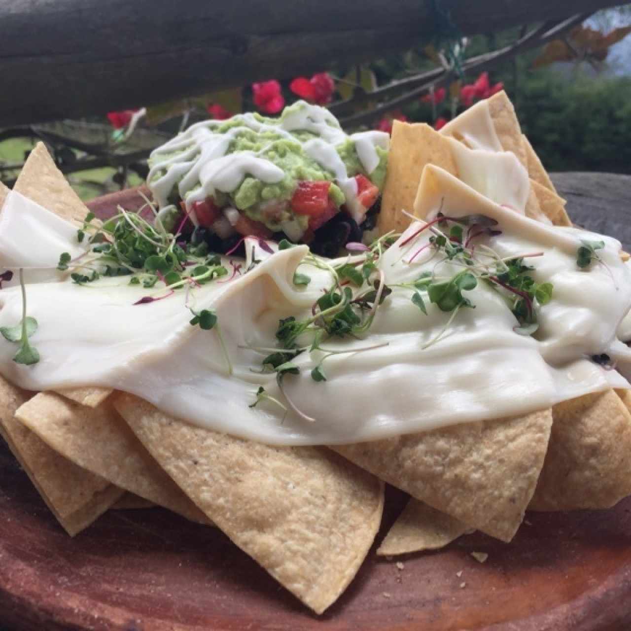 Nachoos
