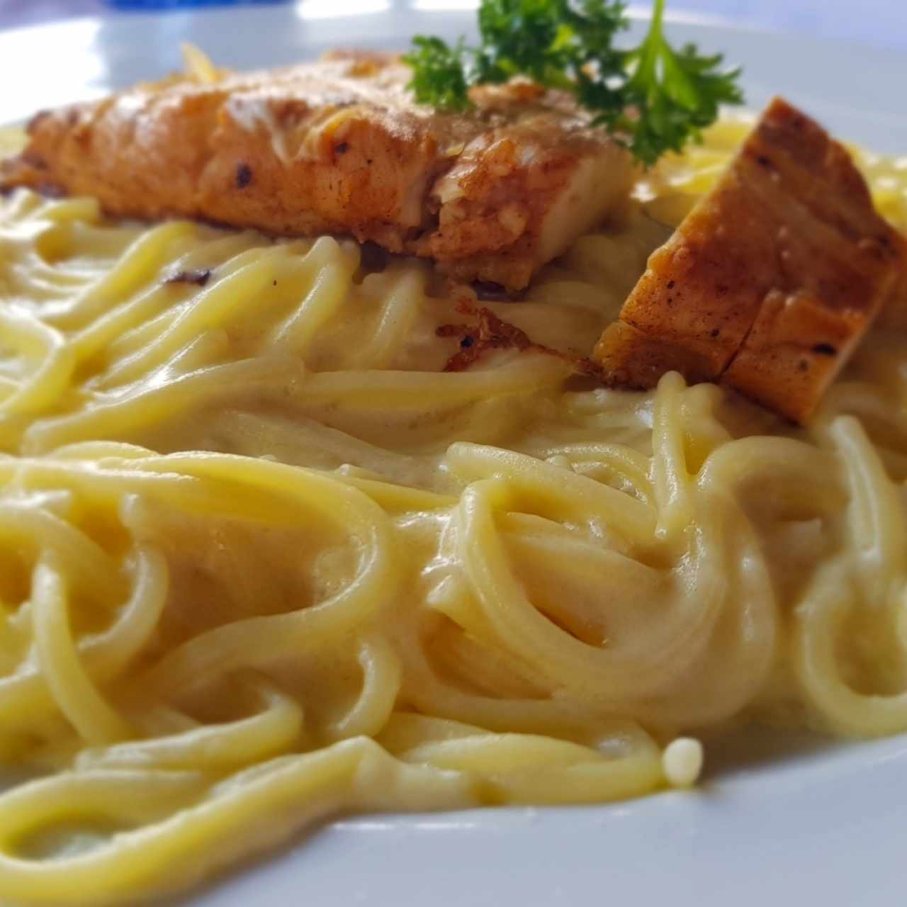 Pasta Alfredo