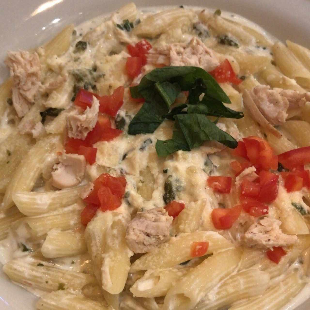 Pasta de Pollo y Loroco