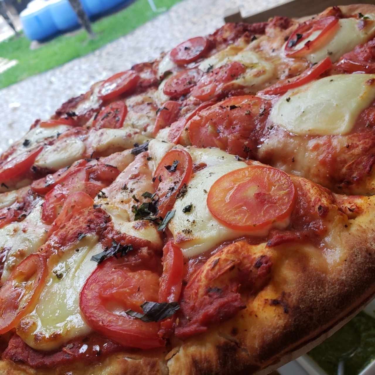 Margherita