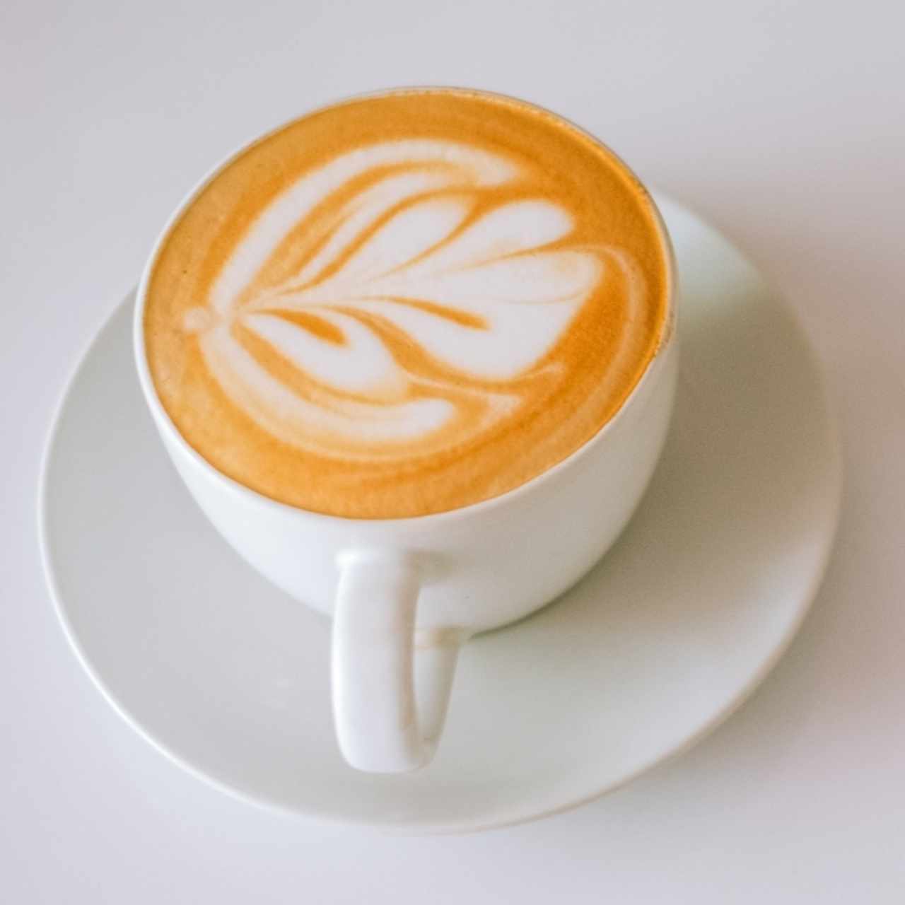 Felisa Café
