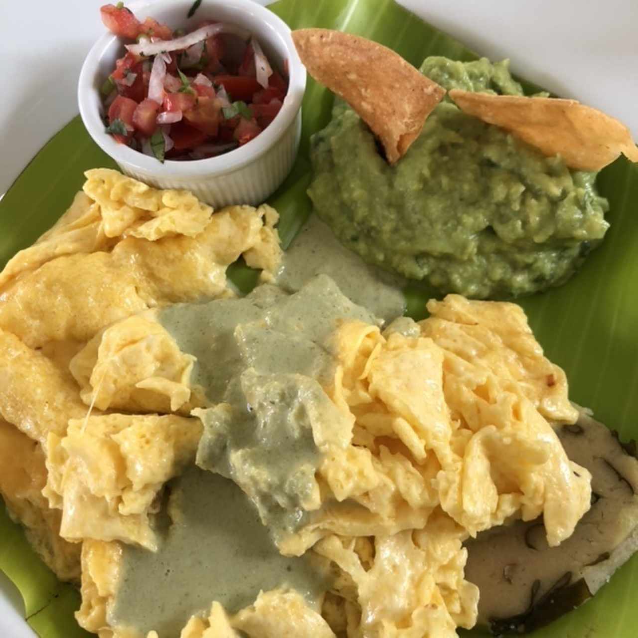 Desayuno del Campo
