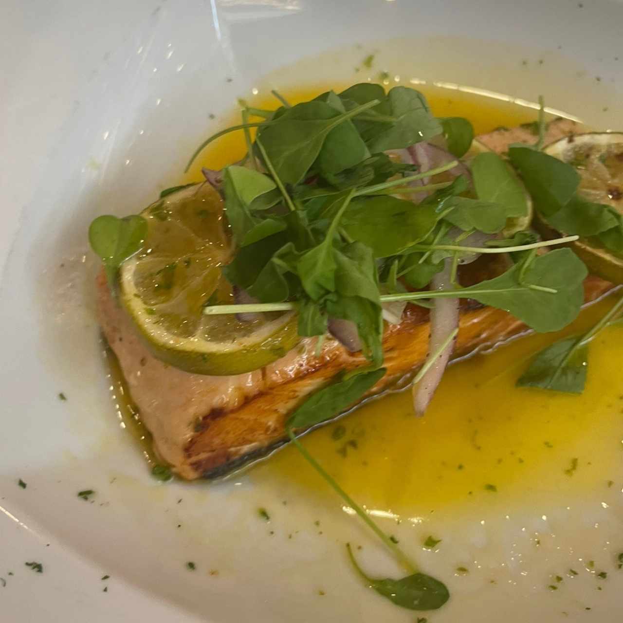 salmón