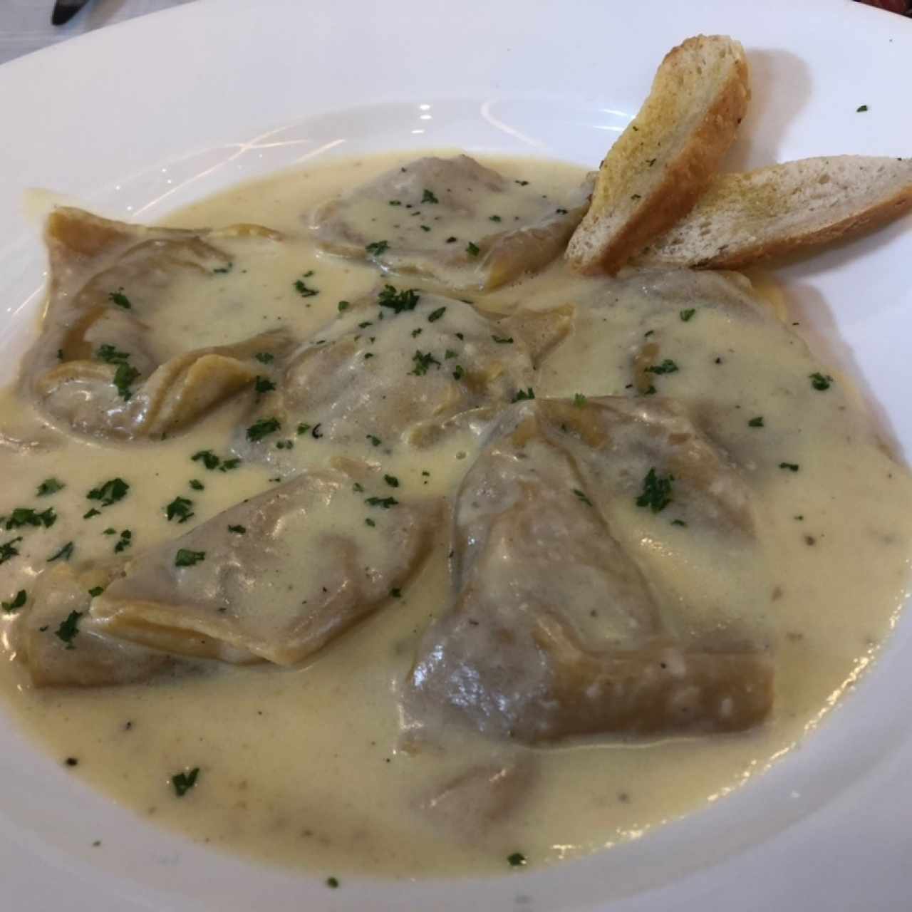 Canelloni relleno de hongos en salsa blanca