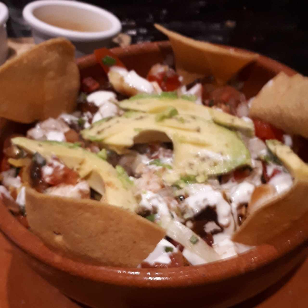 tortuga 