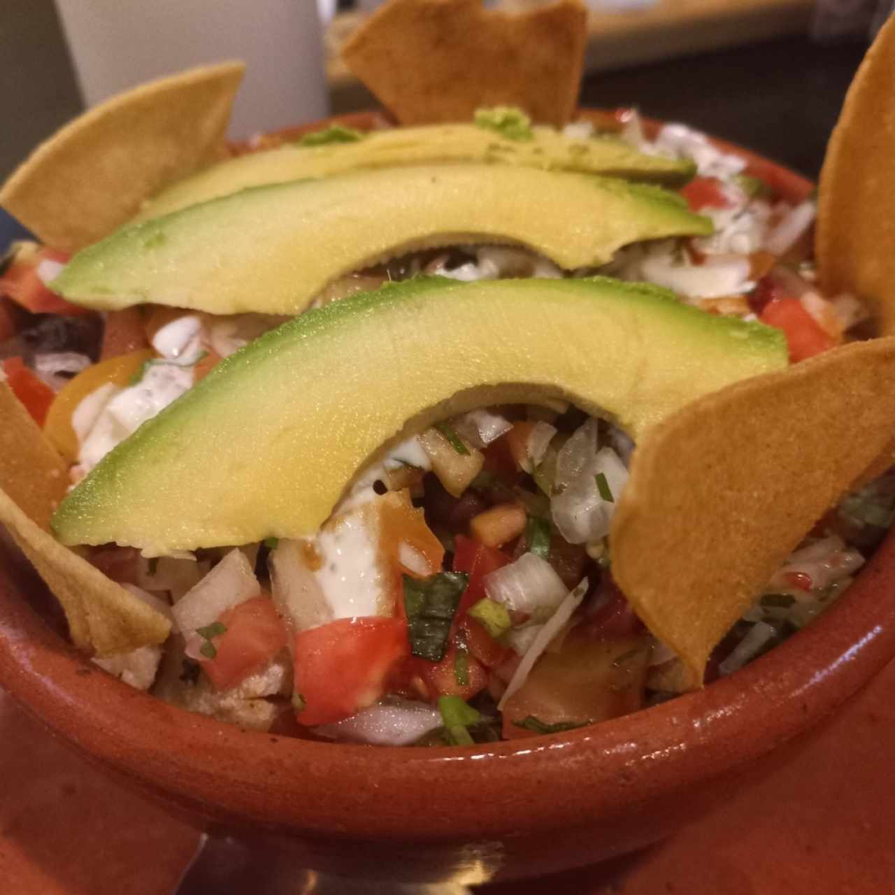 Platos - Tortuga