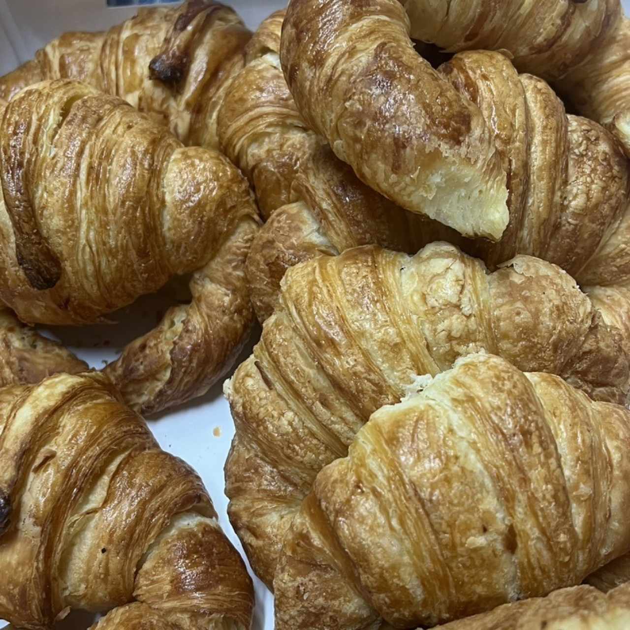 Croissants de jamón y Queso