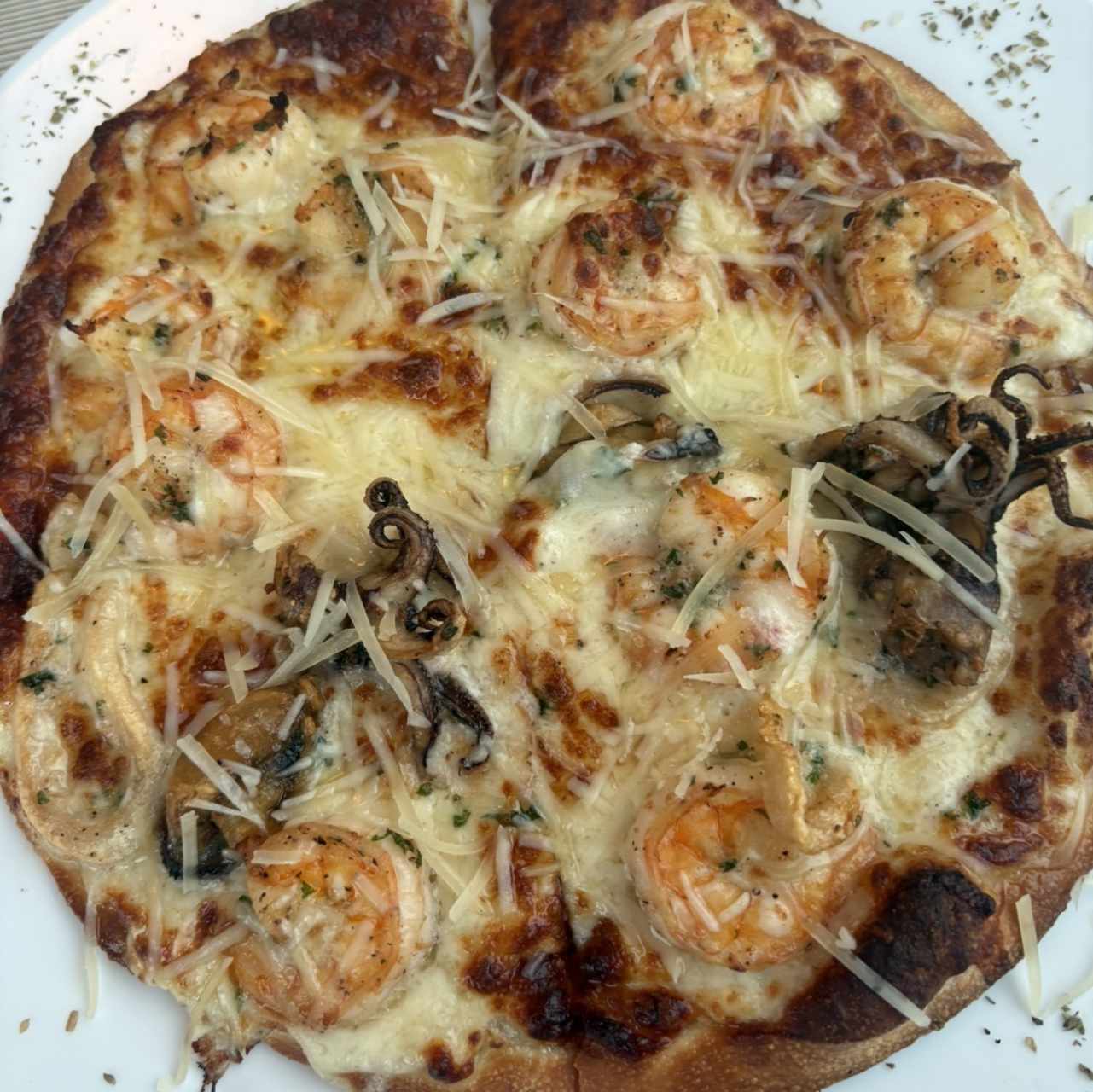 Pizzas - Festa del Mare