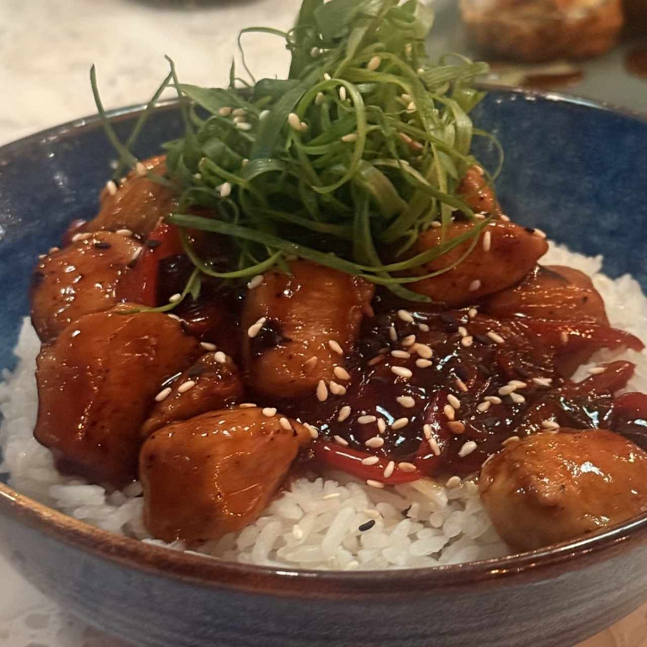 Platos Calientes - Yakitoridon