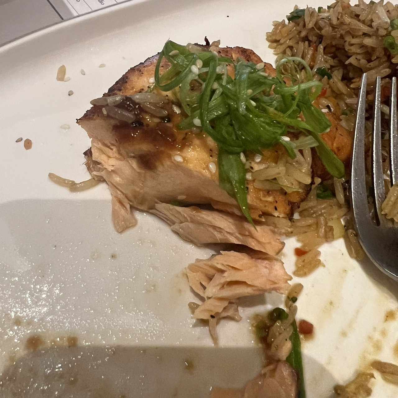 Platos Calientes - Salmón