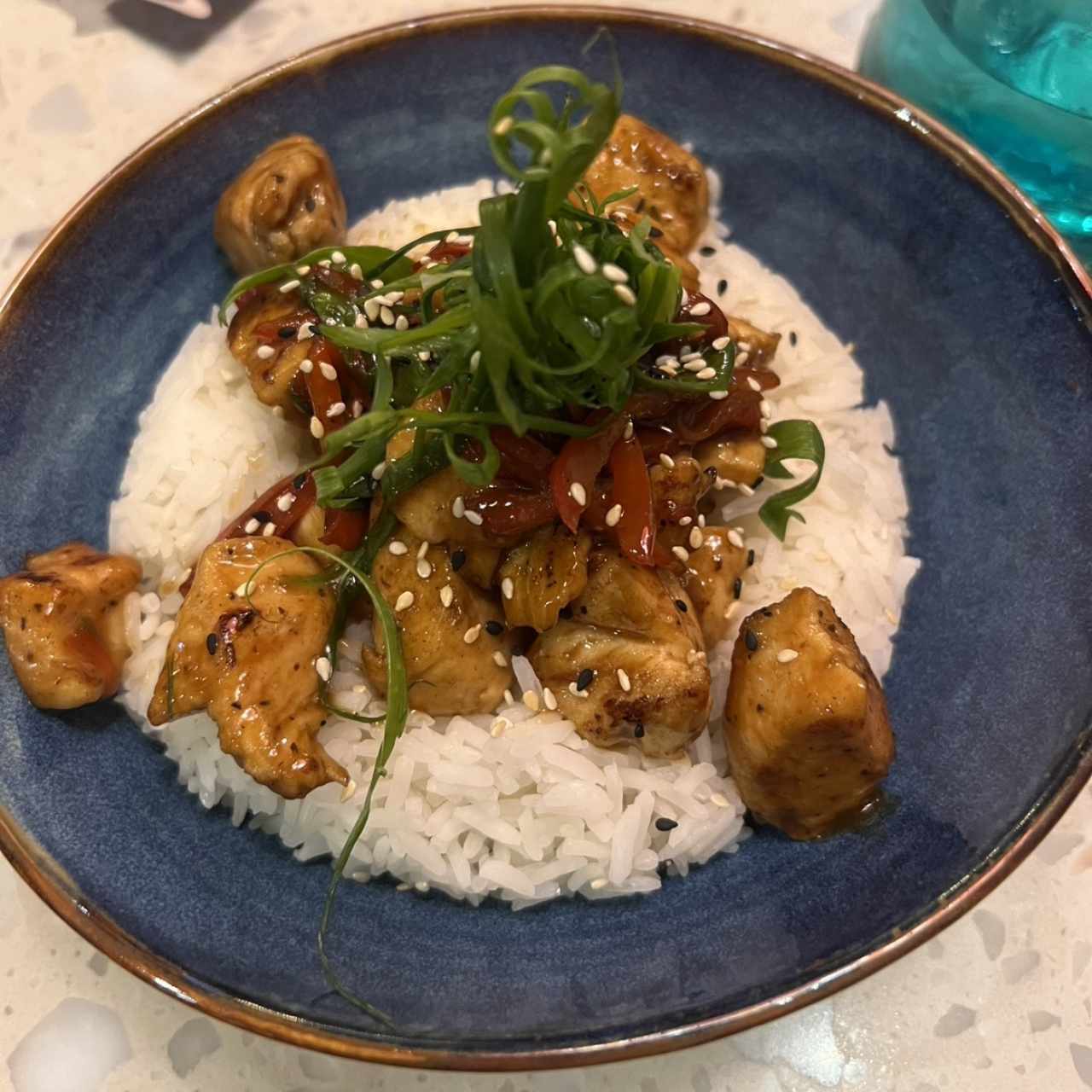 Platos Calientes - Yakitoridon