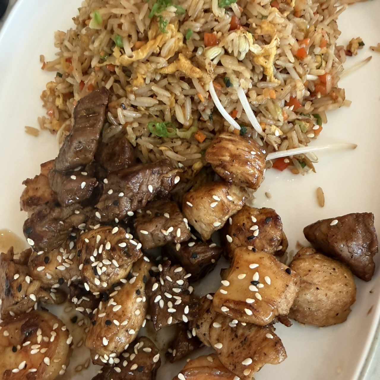 Mixto (pollo, filete y langostinos)