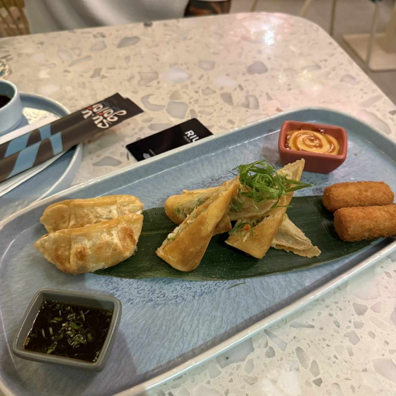 Entradas - Spring Rolls