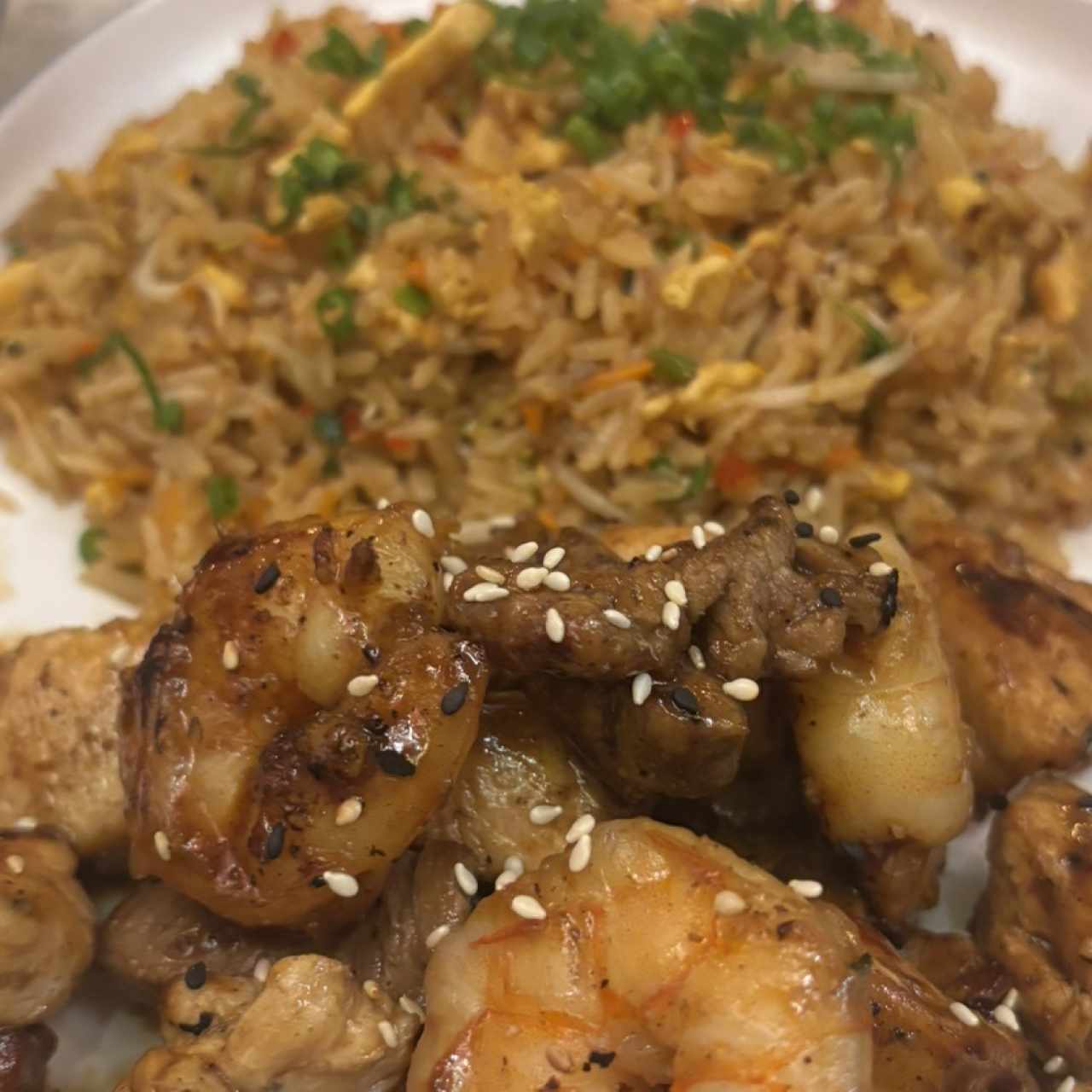 Mixto (pollo, filete y langostinos)