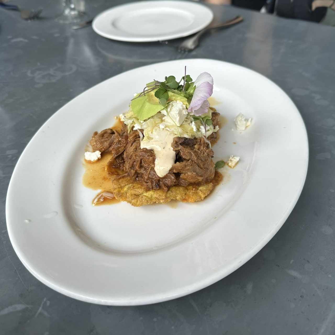 PUERCO EN ADOBO SOBRE PATACONES