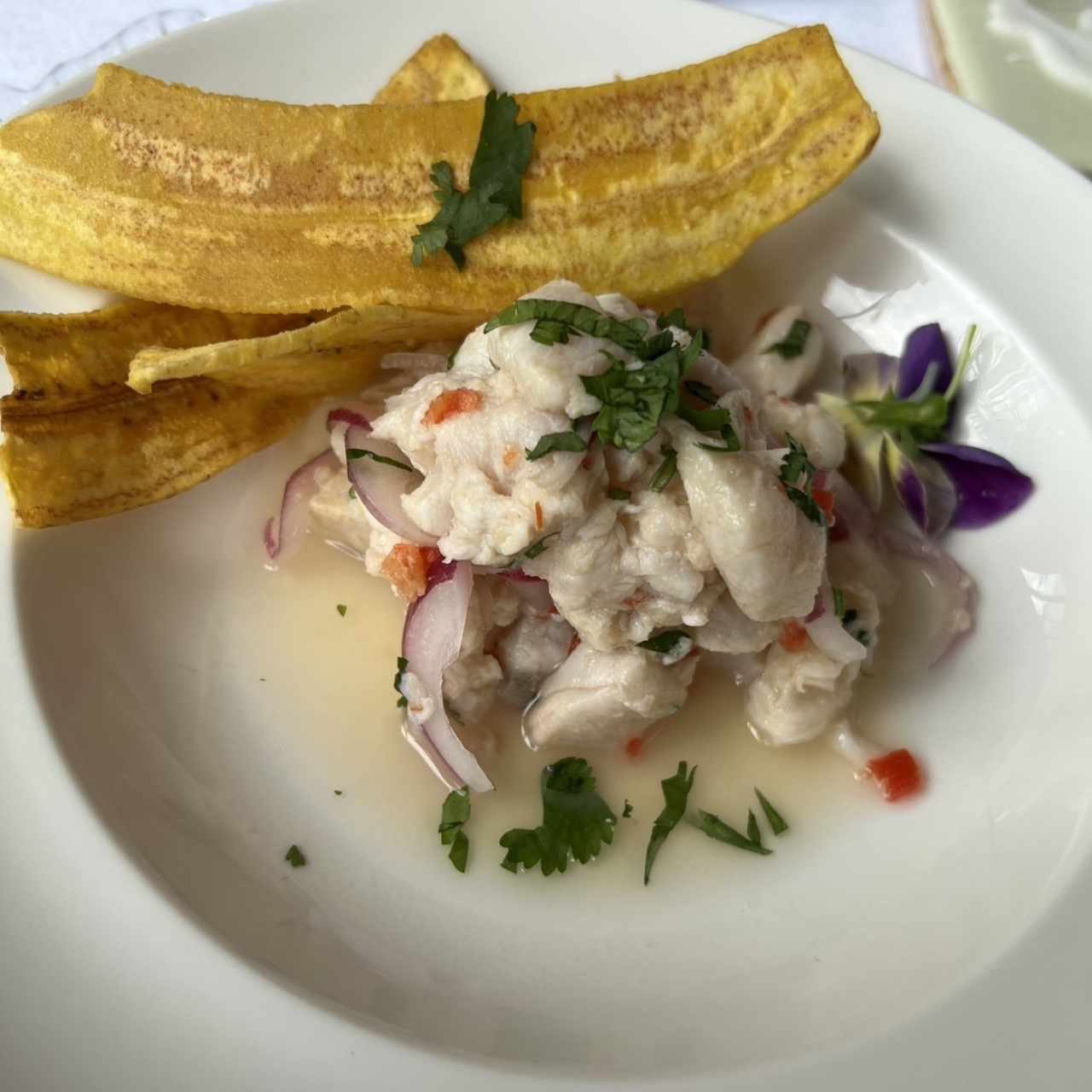 CEVICHE TRADICIONAL DE CORVINA