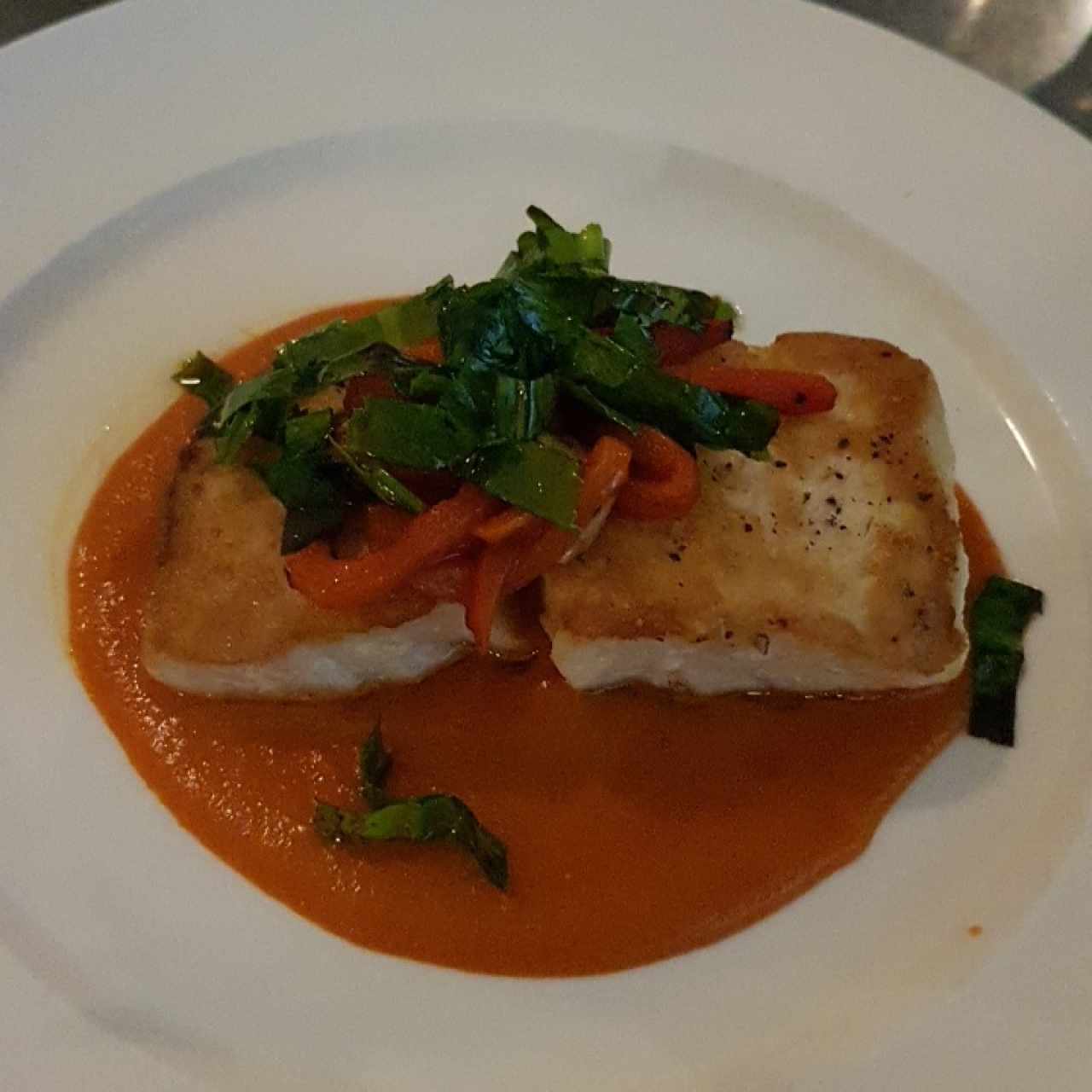 Corvina