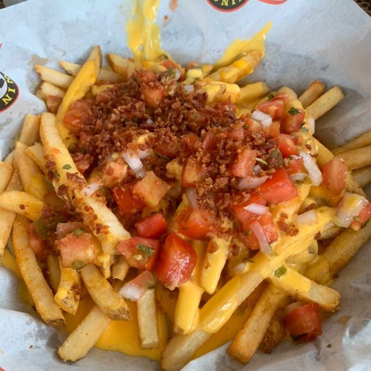 bacon cheese fries