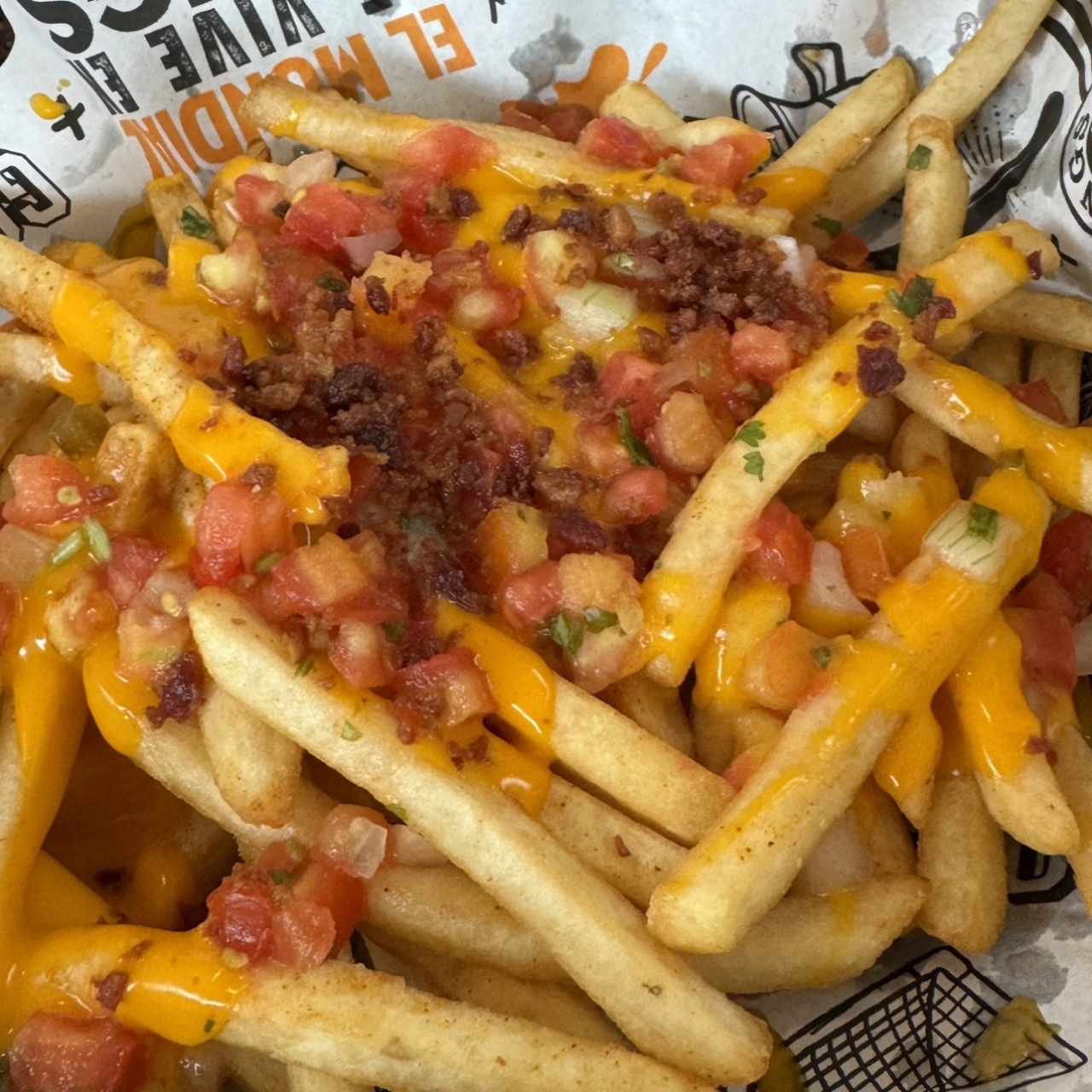 Loaded bacon fries