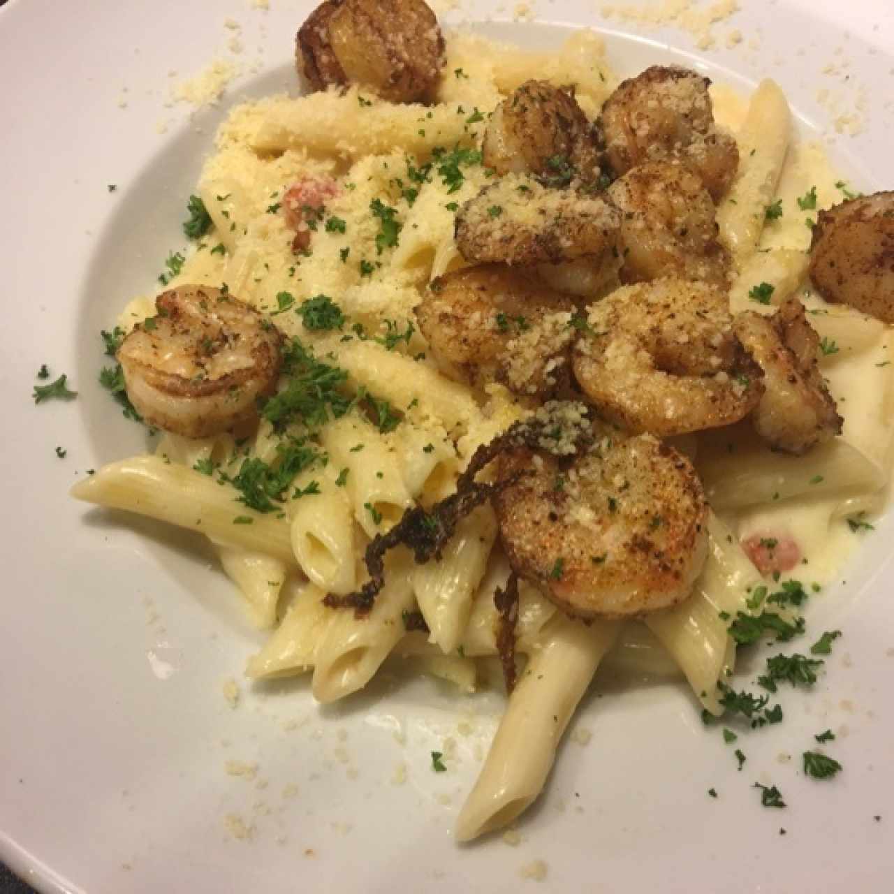 Pastas - Parmesan shrimp pasta