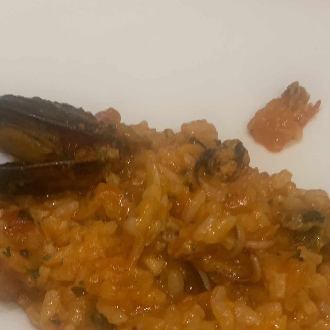 Risottos - Frutti Di Mare
