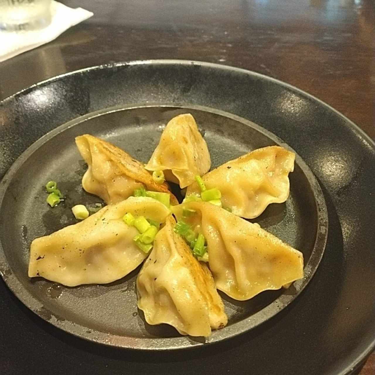 Dumplings de Cerdo (grilled)