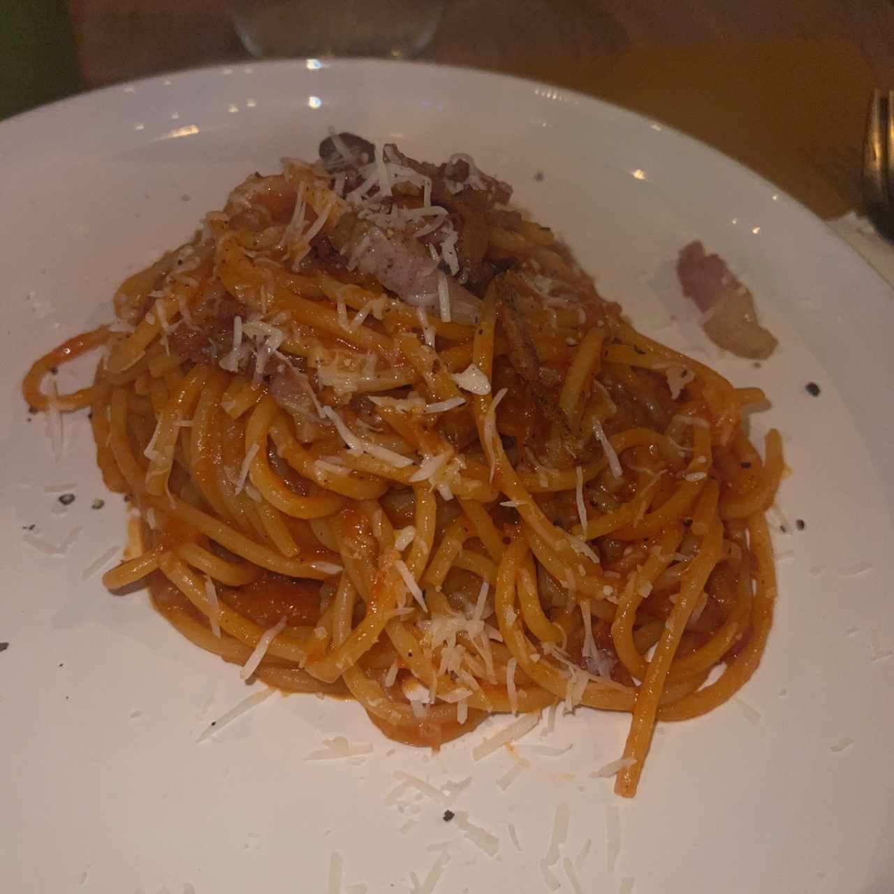 Pasta Tradizionale - Spaghettone Amatriciana