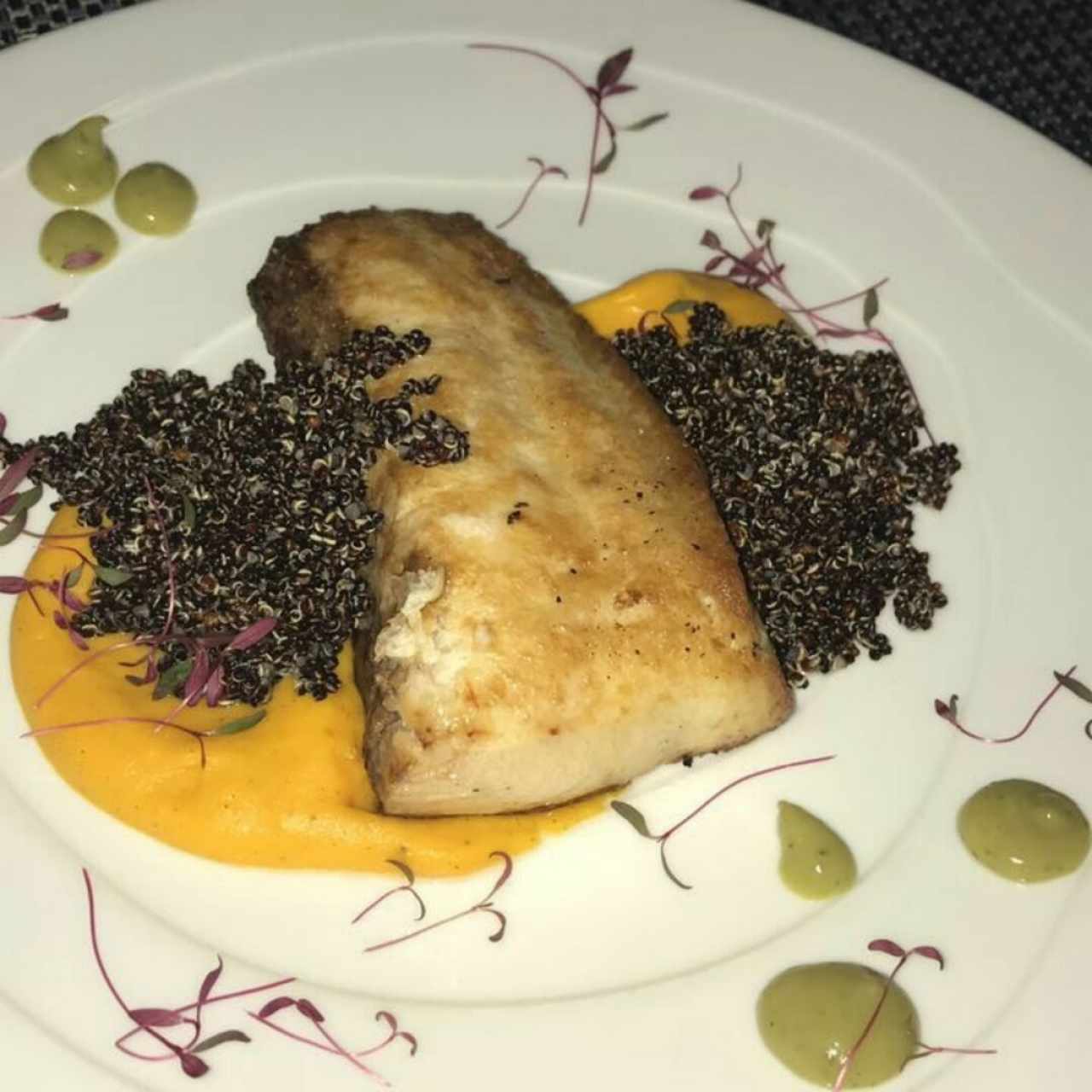 Cobia
