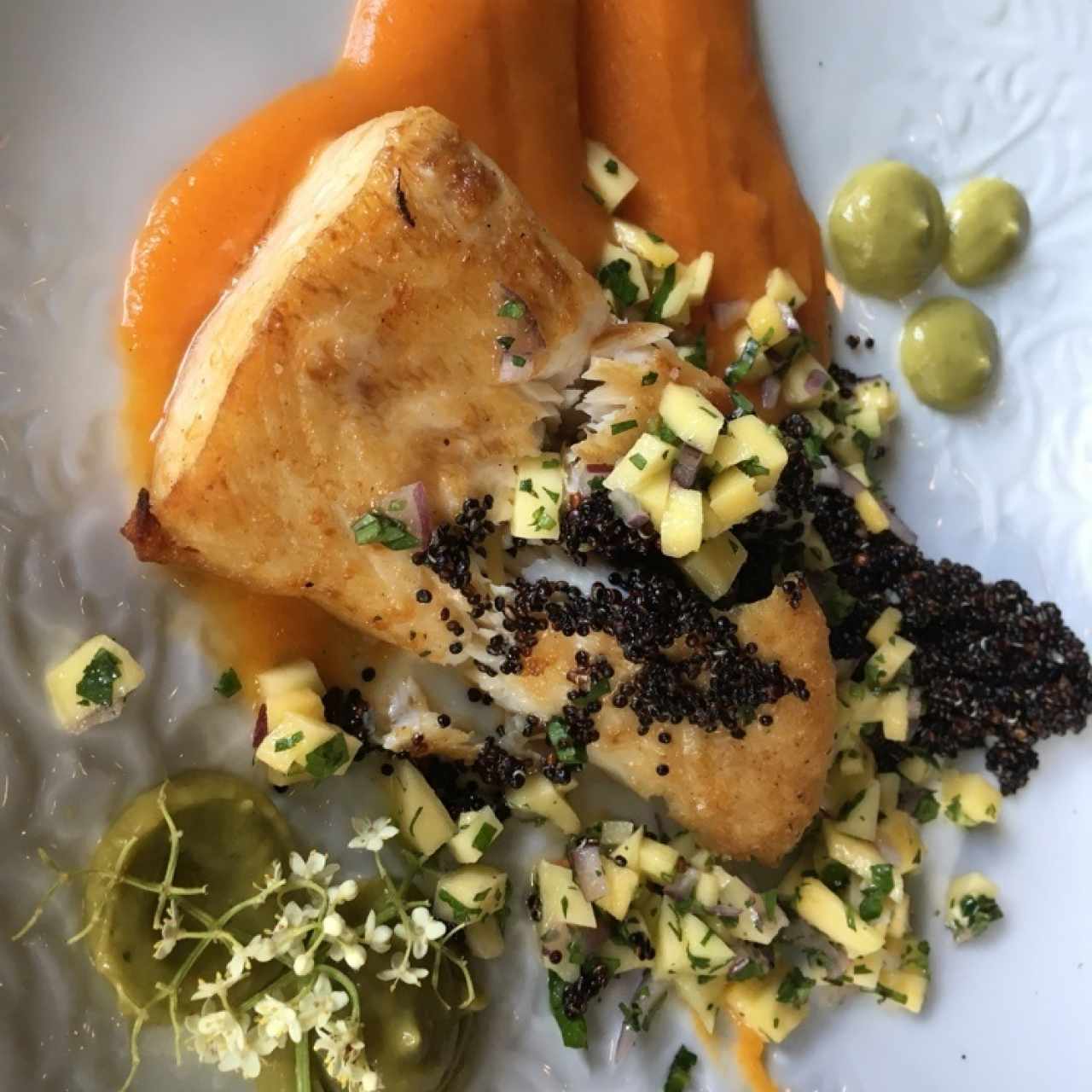 Cobia al grill : pure de zanahoria, quinoa negra y mango