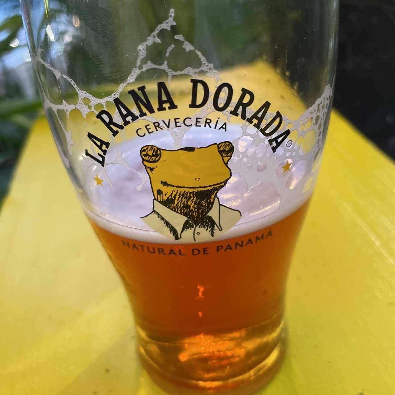 Ipa