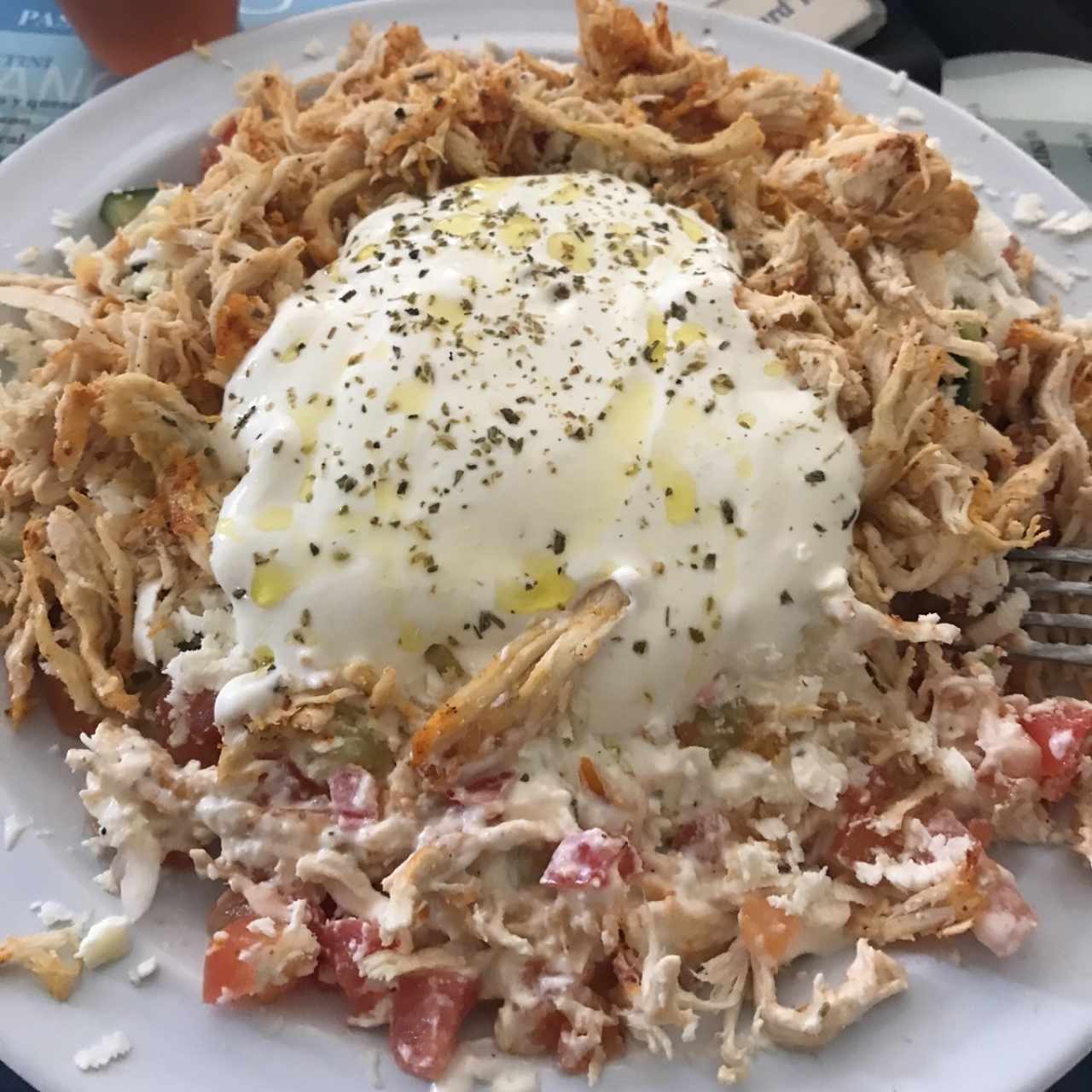 ladopsomo con pollo