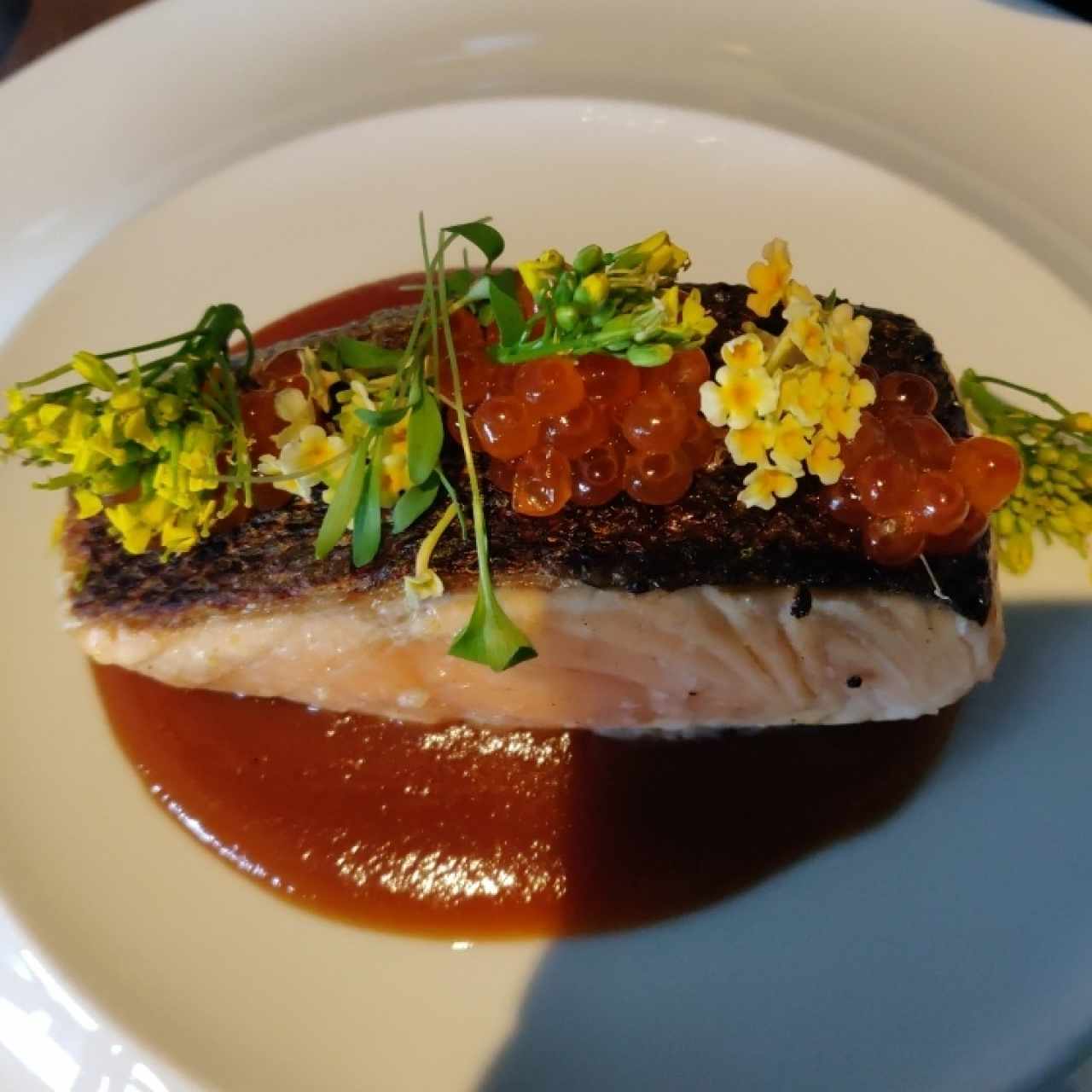 salmon